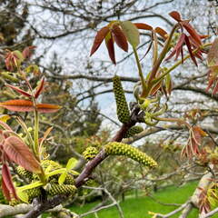 22-04-25 12-30-33 0626